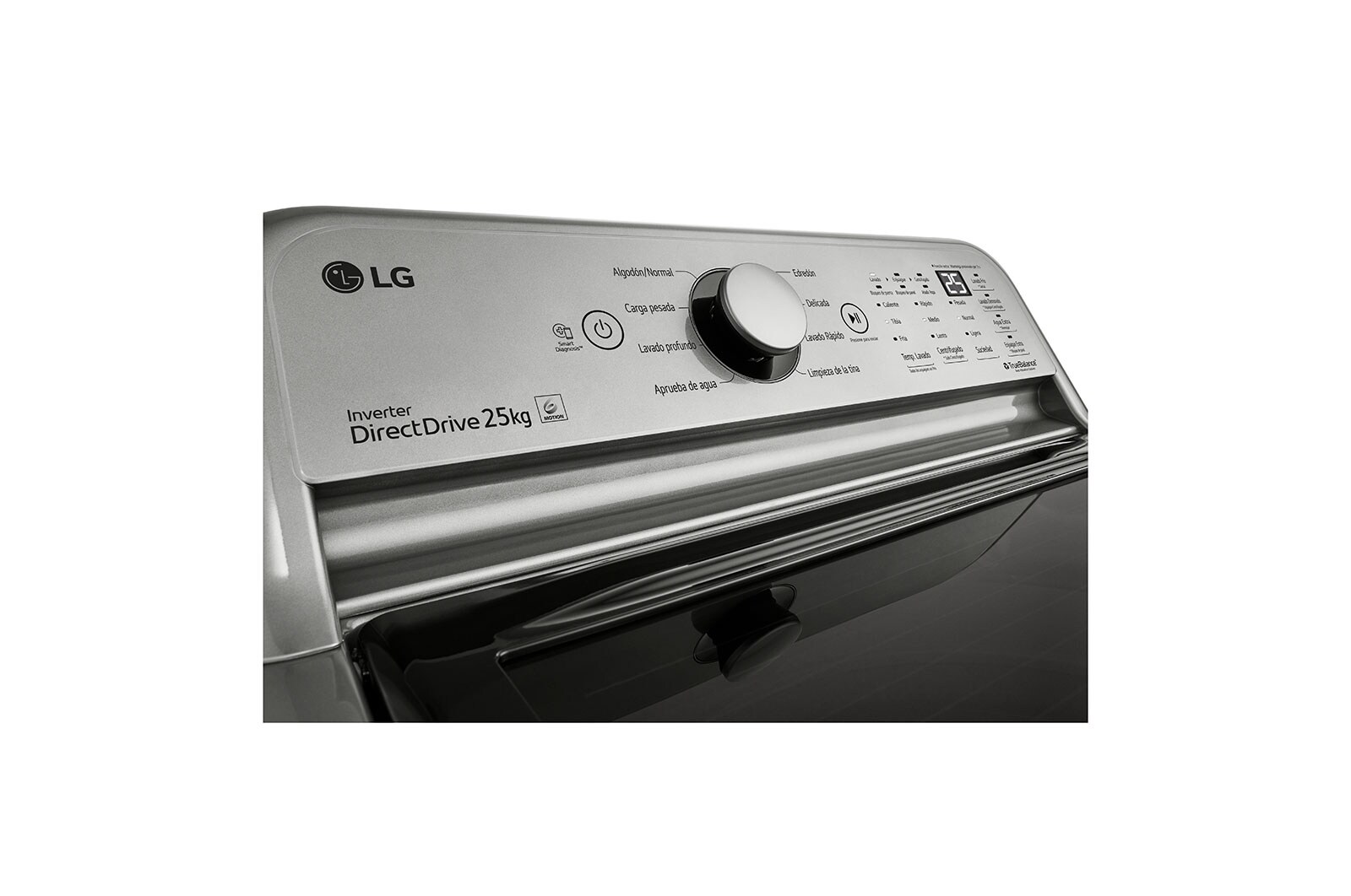 LG Lavadora LG Carga Superior Inverter DD con sistema 6 Motion DD 25 Kg - Silver, WT25VT6HK