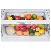 LG Nevera Top Freezer 410L con DoorCooling, HygieneFresh<sup>+</sup> y conectividad Wi-Fi, plateada, GT41SGPX