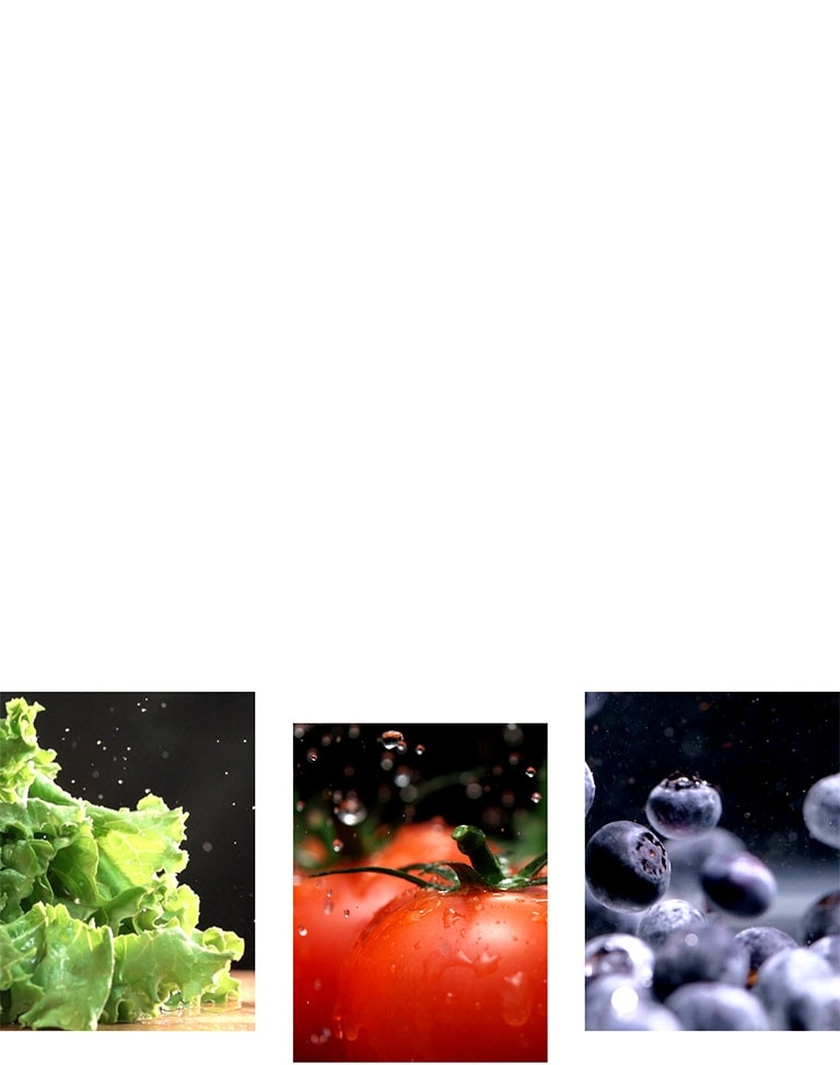 Imagen donde se muestran frutas y legumbres frescas				 				 				 				 				 				 				 				 				 				 				
