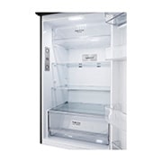 LG Nevera LG Top Freezer, DoorCooling+™, ThinQ, Platinum Silver3  Capacidad Total Almacenamiento 395 Litros, VT40SGPX