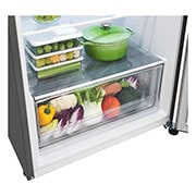 LG Nueva Nevera LG Top Freezer, DoorCooling+™ Platinum Silver3  Capacidad Total Almacenamiento 395 Litros, VT40WGPX