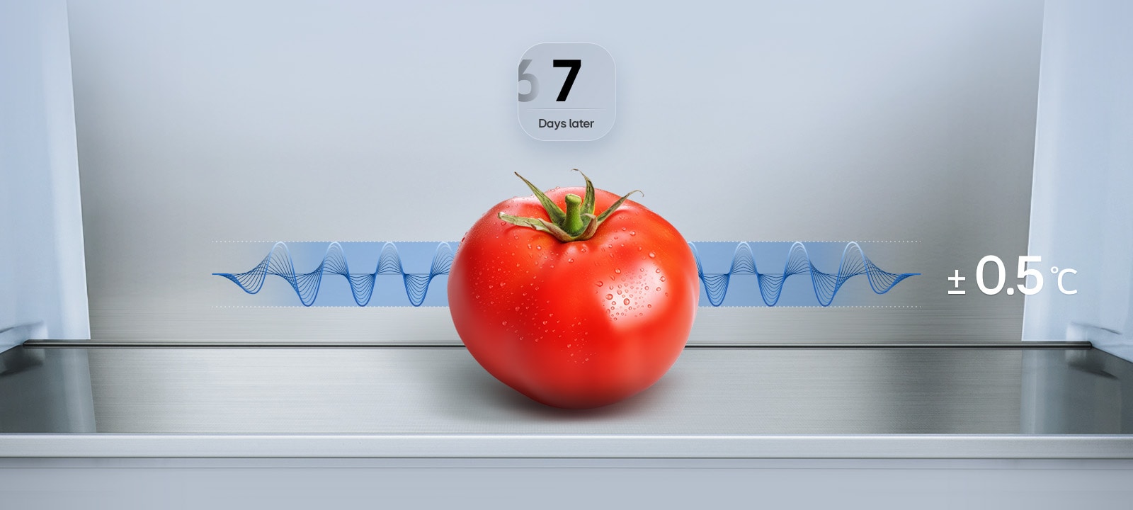 Grafika kombinované chladničky s mrazákem LG (GBBS726CPY) zobrazující čerstvá rajčata po 7 dnech s modrým grafem kolísání a textem ±0,5 °C.