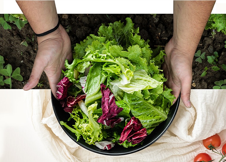 V horní části obrázku je sklizeň salátu z pole. Na spodní části obrázku je čerstvý salát na talíři. Zelenina na těchto dvou obrázcích je přirozeně propojena, jako by to byl jeden obrázek.