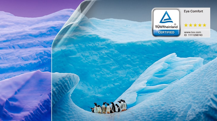 Protect your eyes, perserve every detail