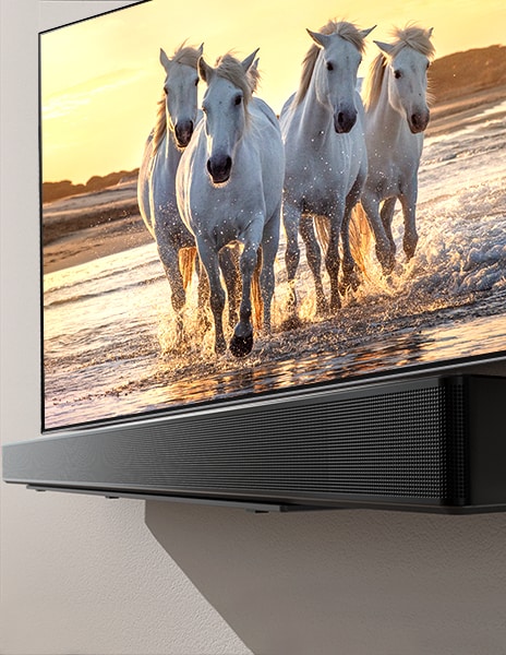 Televizor a soundbar na polici s obrazovkou zobrazující obraz bílého koně běžícího po modré pláži.	