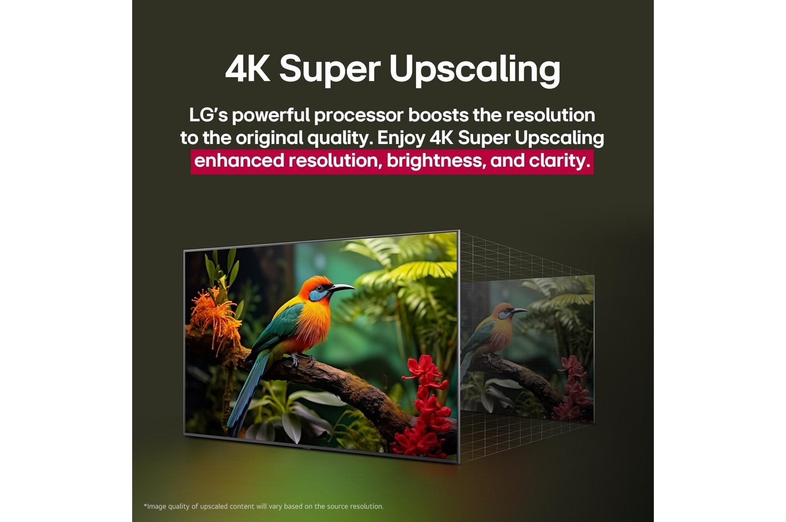 Vergleich der Bildqualität mit und ohne LG 4K Super Upscaling. Zwei Panel zeigen dasselbe Bild eines bunten Vogels, der auf einem Ast in einem Wald sitzt, das Panel auf der rechten Seite ist verblasst. In der Überschrift geht es darum, wie 4K Super Upscaling die Auflösung, Helligkeit und Klarheit verbessert.