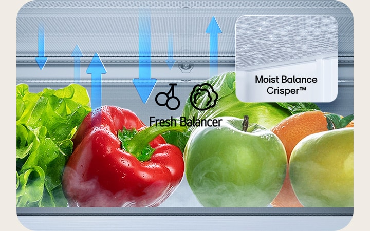 LG Unterer Gefrierschrank (GBBS726CPY) Fresh Balancer mit Salat, Paprika, Orange und Äpfeln mit Pfeilen nach oben und unten und Moist Balance Crisper Nahaufnahme