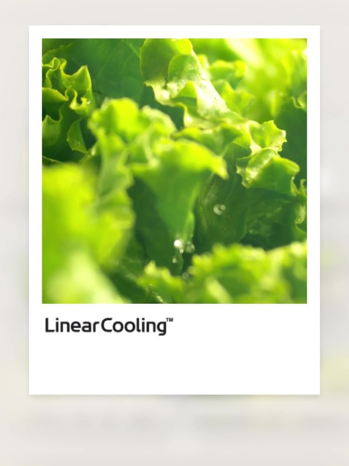 „Linear Cooling“ des mehrtürigen LG Kühlschranks regelt die Temperatur auf plus/minus 0,5 Grad Celsius genau und die Lebensmittel bleiben bis zu 7 Tage lang frisch.