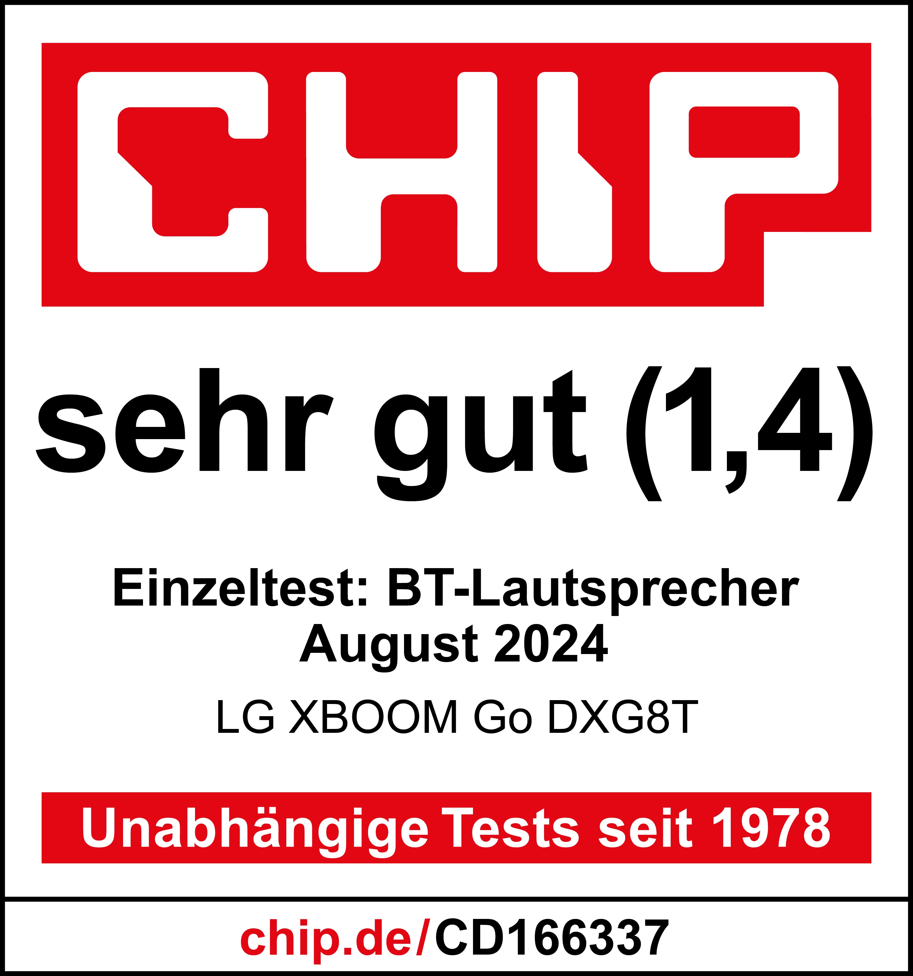 CHIP DXG8T