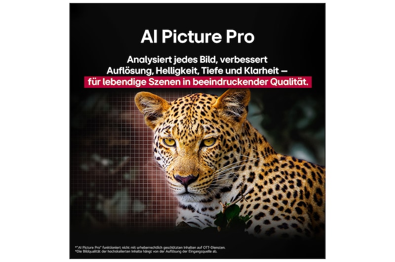 Leopard im Wald in leuchtenden Farben und Details. Neben dem Leopard ist ein Gitternetz zu sehen. Hinter ihm leuchtet ein Licht. Das Bild zeigt, wie LG AI Picture Pro die Auflösung, Helligkeit, Tiefe und Klarheit der Szene eindrucksvoll verbessert hat.