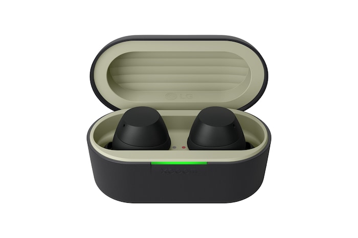 Vorderansicht des Kästchens mit Ohrhörern im Inneren