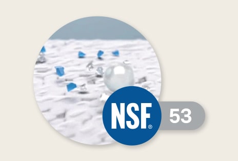 Diese Angaben beziehen sich auf die NSF-Zertifizierung des LT1000P.