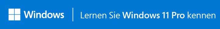 Windows 11 Pro entdecken