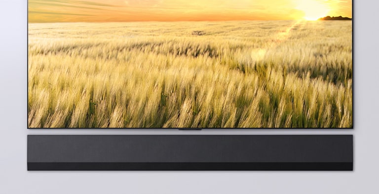 Frontansicht eines Fernsehers und einer Soundbar. Der Fernseher zeigt ein Schilffeld bei Sonnenuntergang.