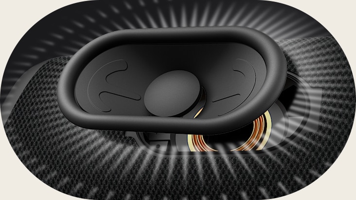 Nahaufnahme des Track Type Woofers.