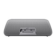 LG XBOOM Go DXG5Q Bluetooth Speaker, DXG5QGR