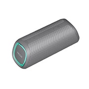 LG XBOOM Go DXG5Q Bluetooth Speaker, DXG5QGR