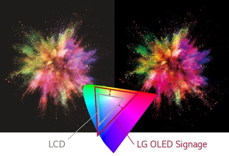 LG OLED Signage bietet eine Fülle von Farben im Vergleich zu LCDs, um Objekte lebendiger wiederzugeben.
