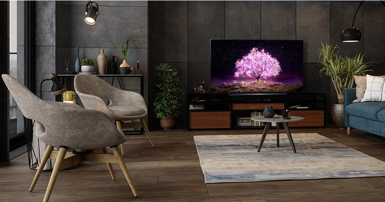 Ein Fernseher, der eine bläuliche Pflanze zeigt, in einem luxuriös eingerichteten Wohnraum