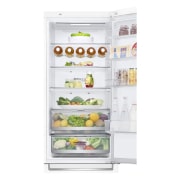 LG Kühl-Gefrierkombination | 384 Liter Nutzinhalt | LINEARCooling™ | Total No Frost , GBB72SWDFN