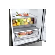 LG Kühl-Gefrierkombination (EEK C, 384L, 203cm hoch) mit Smart Inverter Compressor®️ | GBP62PZXCC1, GBP62PZXCC1