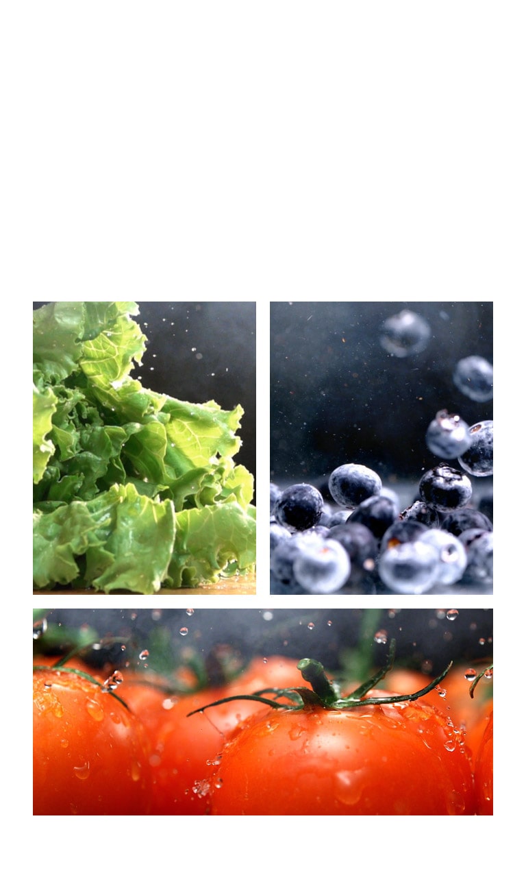 Frischer Salat links, saftige Tomaten in der Mitte und pralle Blaubeeren rechts mit Wassertropfen verziert.