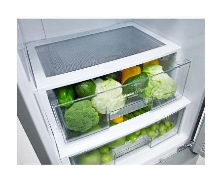 LG Kühl-Gefrierkombination mit , Total No Frost, Fresh O Zone und edler Noble Steel Front, GBB530BLCFS