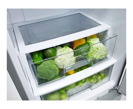 LG Kühl- Gefrierkombination mit Energieeffizienzklasse A+++, Total No Frost und Fresh O Zone, GBB530SWCFS