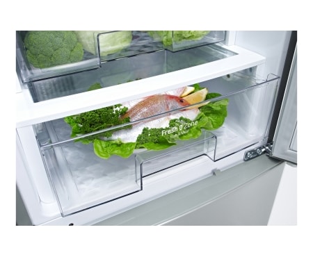 LG Kühl- Gefrierkombination mit Energieeffizienzklasse A+++, Total No Frost und Fresh O Zone, GBB530SWCFS