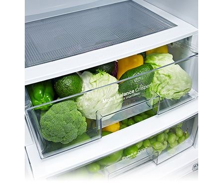 LG Kühl-Gefrierkombination mit Energieeffizienzklasse A++, Fresh O Zone und Smart Diagnosis, GBB539PZQZB