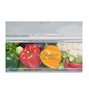 LG Kühl- Gefrierkombinationen mit 343 Litern | Total No Frost | Smart Diagnosis™, GBB60SAPXS