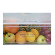 LG Kühl- Gefrierkombinationen mit 343 Litern | Total No Frost | Smart Diagnosis™, GBB60SAPXS