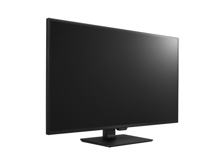 LG 43" Ultra HD 4K Monitor, 43UD79-B