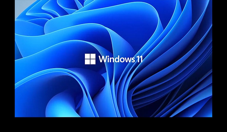 Wir sehen das Logo und das Hintergrundbild von Windows 11.