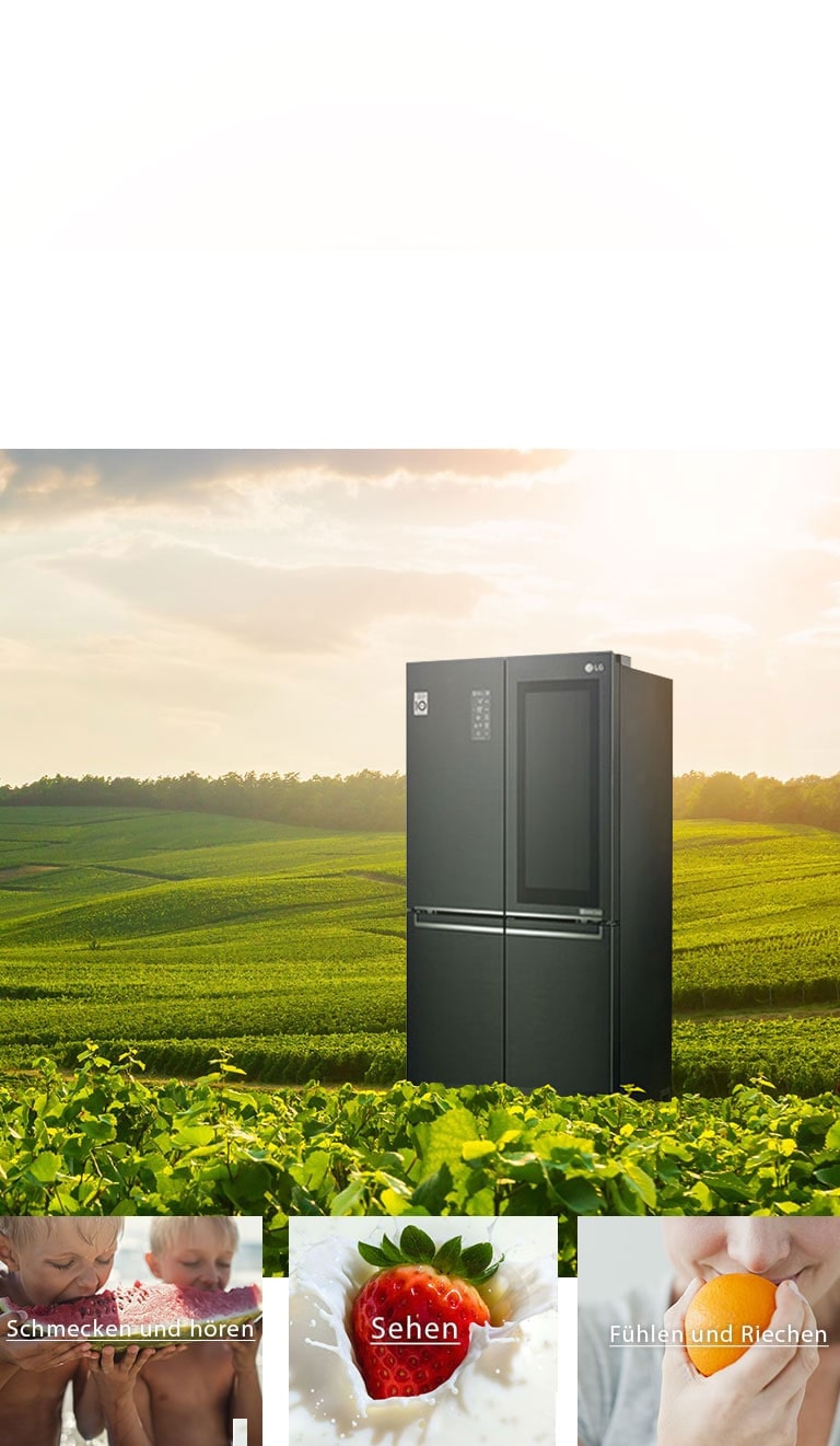 Kühlschrank LG Multi-Door GMQ844MC5E | | LG DE Instaview