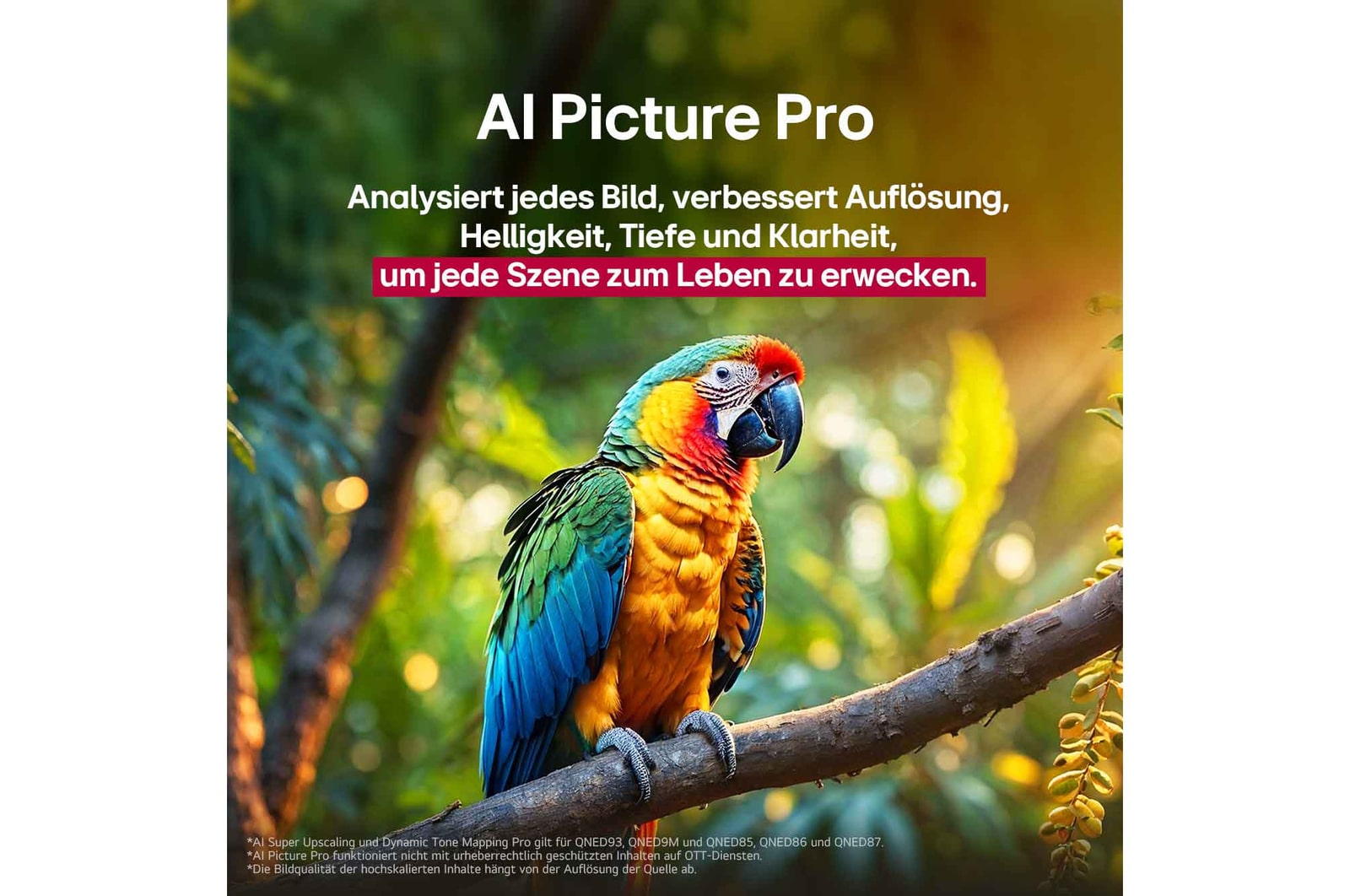 Papagei auf einem Ast in lebendigen Farben. Der Titel beschreibt, wie LG Al Picture Pro die Auflösung, Helligkeit, Tiefe und Klarheit der Szene eindrucksvoll verbessert hat.