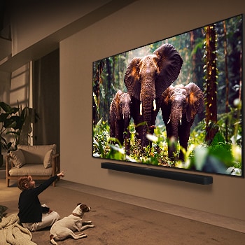 Ein Mädchen und ein Hund sitzen vor einem LG QNED-Fernseher, der an einer Wand montiert ist und drei Elefanten zeigt, die über einer LG Soundbar nach außen laufen. Der Titel spricht davon, dass jede Aktion auf einem großen Bildschirm noch spannender ist.