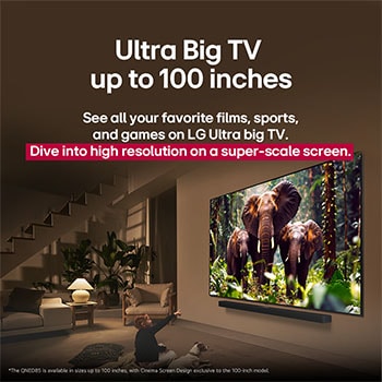 Ein Mädchen und ein Hund sitzen vor einem LG QNED-Fernseher, der an einer Wand montiert ist und drei Elefanten zeigt, die über einer LG Soundbar nach außen laufen. Der Titel spricht davon, dass jede Aktion auf einem großen Bildschirm noch spannender ist.