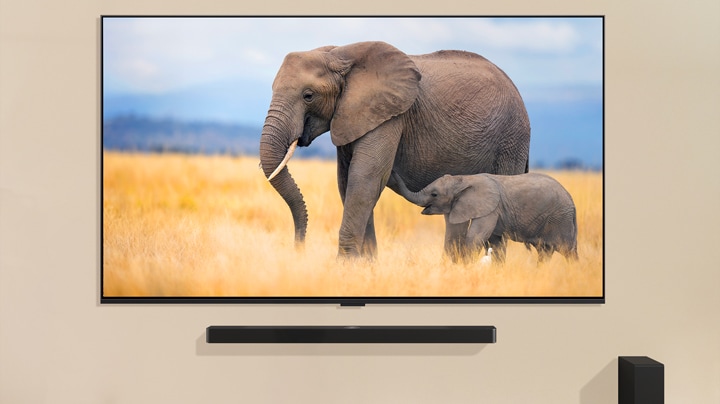 Ein Kind steht vor einem großen Fernseher, auf dem zwei Elefanten, ein Erwachsener und ein Baby, auf einer Wiese laufen.