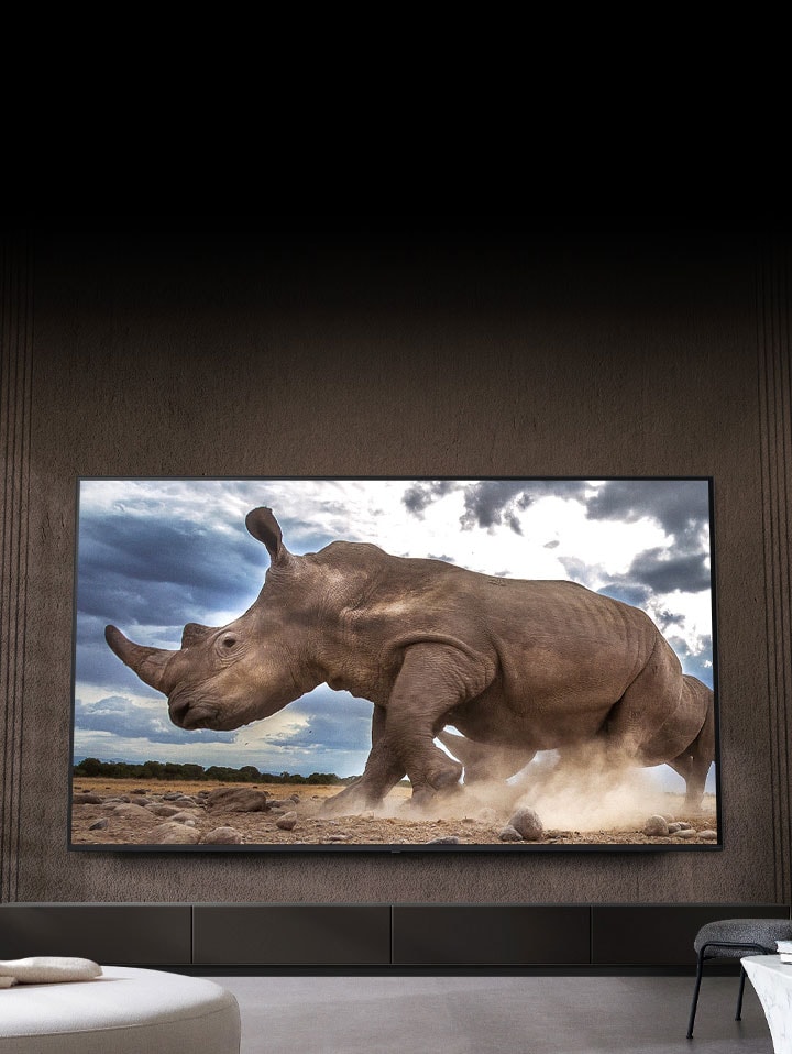 Auf einem ultragroßen LG TV, der an der braunen Wand eines Wohnzimmers montiert ist, umgeben von cremefarbenen modularen Möbeln, sehen wir ein Nashorn in einer Safari-Umgebung.	