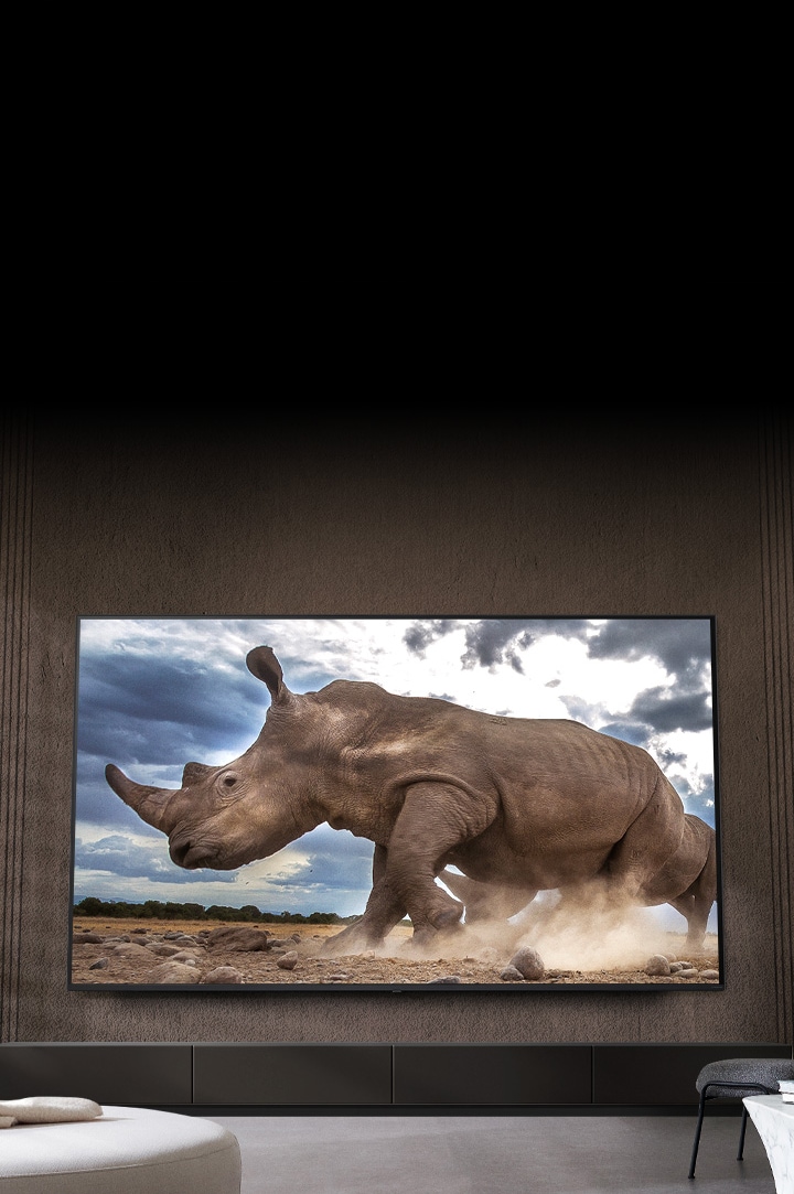 Auf einem Ultra Big LG-Fernseher, der an der braunen Wand eines Wohnzimmers montiert ist, umgeben von cremefarbenen modularen Möbeln, wird ein Nashorn in einer Safari-Umgebung gezeigt.