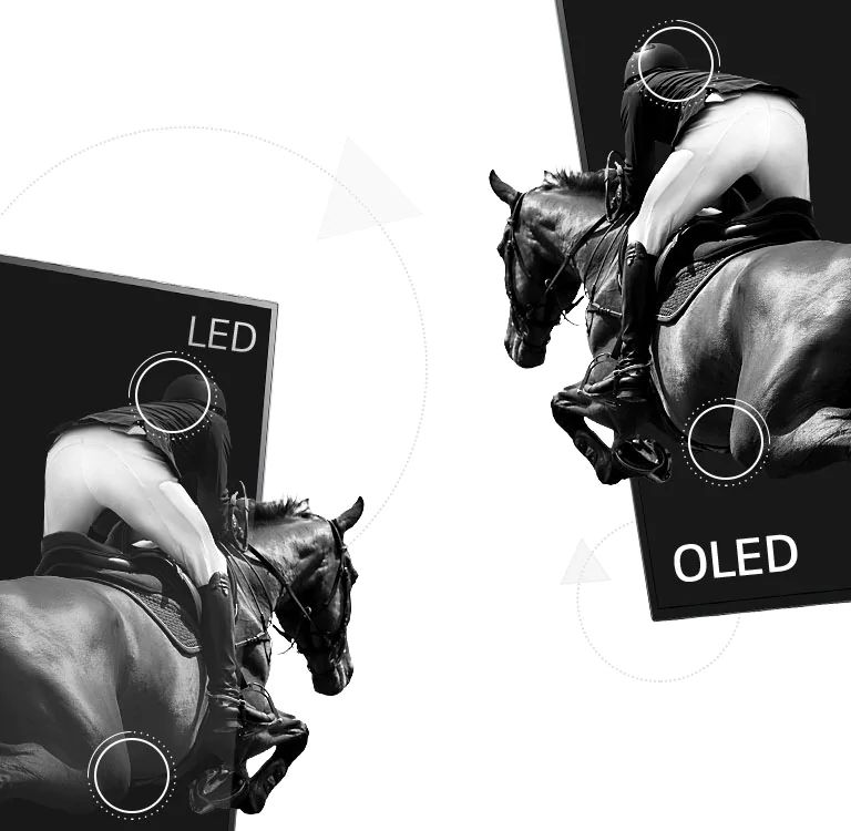 Eine Szene aus dem Reitsport, einmal auf einem LED-Fernseher mit schlechtem Kontrast und einmal auf einem OLED-Fernseher mit unendlichem Kontrast (Video abspielen)