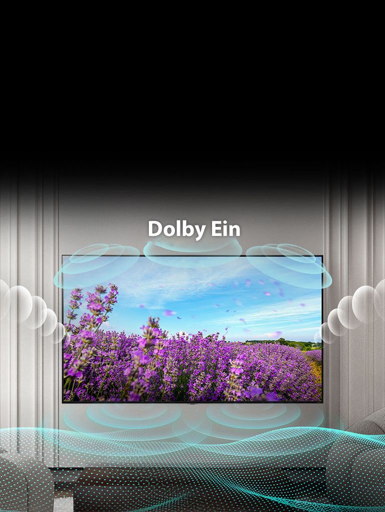 Der Bildschirm eines QNED TV zeigt eine rosa Rapsblüte auf einer Sommerwiese und in der Mitte die Aufschrift Dolby OFF. Das Bild auf dem Bildschirm wird heller und der Text ändert sich zu Dolby ON.