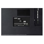 LG 55 Zoll LG 4K OLED TV A2, OLED55A29LA