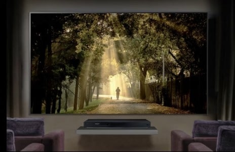 Auf dem Bildschirm ist ein Wald zu sehen.