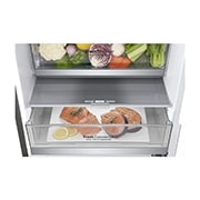 LG 1.86M 341L Kølefryseskab(Shiny Steel) - Energiklasse D, Door Cooling™, GBB71PZEGN