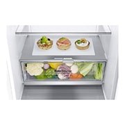 LG 2.03M 384L Kølefryseskab(Hvid) - Energiklasse D, Door Cooling™, GBB72SWEGN