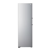 LG 324L Fritstående fryser (Shiny Steel) - Energiklasse D, Total No Frost, Express Freeze, GFT41PZGSF
