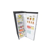 LG                       324L Fritstående fryser (Matte Black) - Energiklasse D, Total No Frost, Express Freeze, GLT51MCGSF