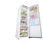 LG 386L Fritstående køleskab (Hvid) - Energiklasse E, Door Cooling™, LINEARCooling™, Moist Balance Crisper™, GLT51SWGSZ